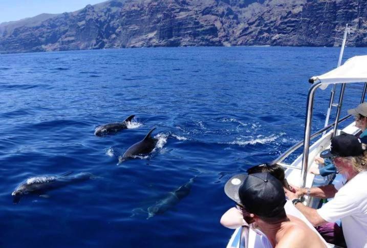 Apartamento incleibles vistas al océano y piscina. Acantilado de los Gigantes Esterno foto